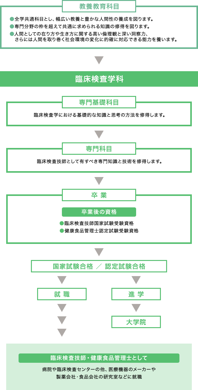 人材育成の流れ